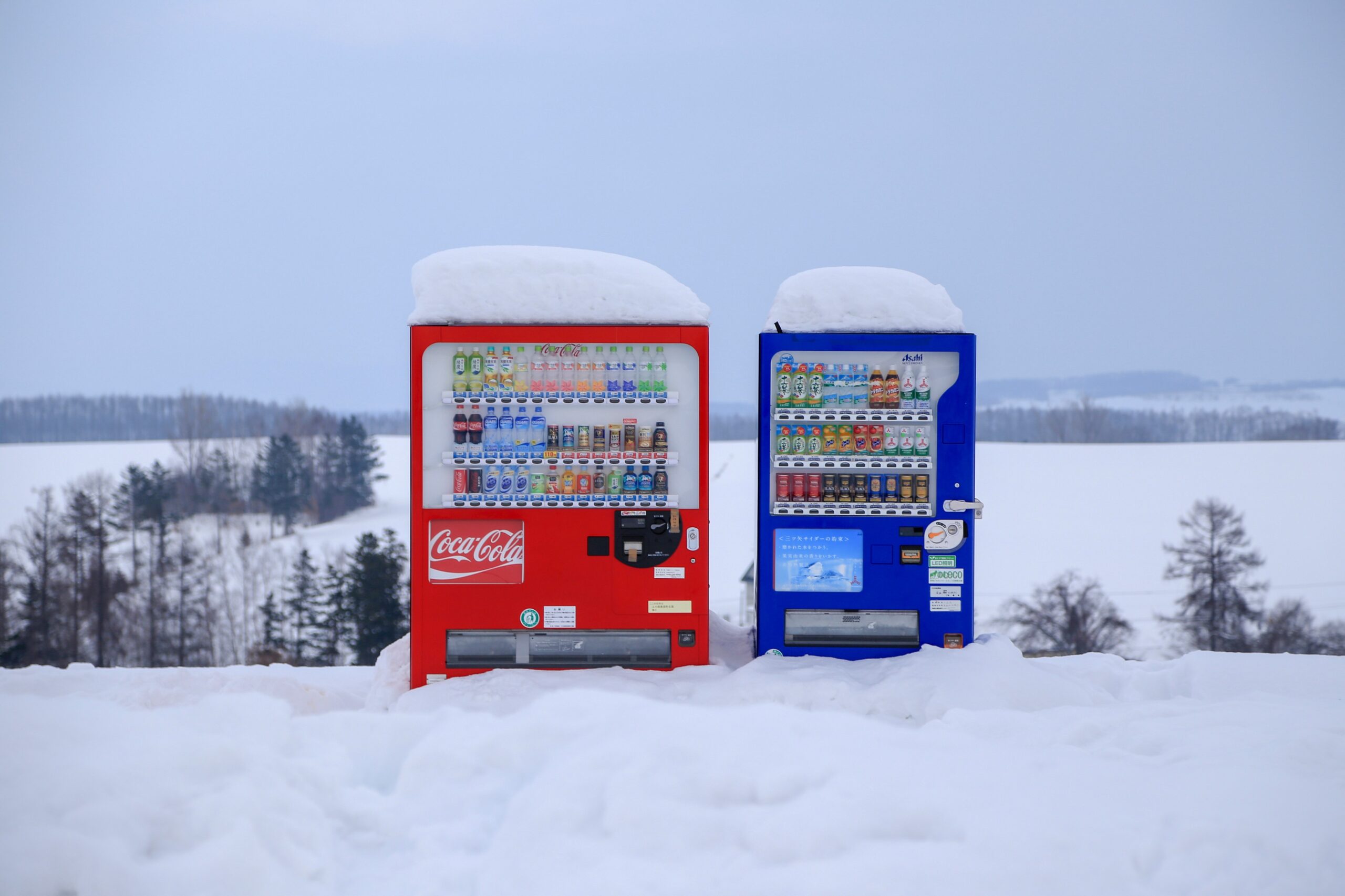 Japan cultural insights vending machines