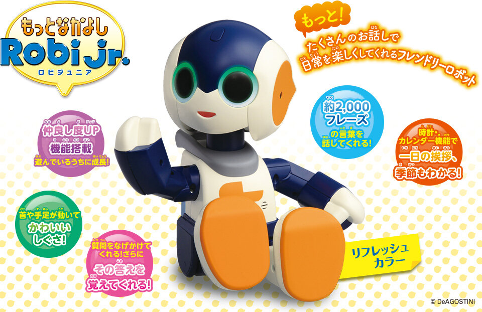 Robi-Jr Robot