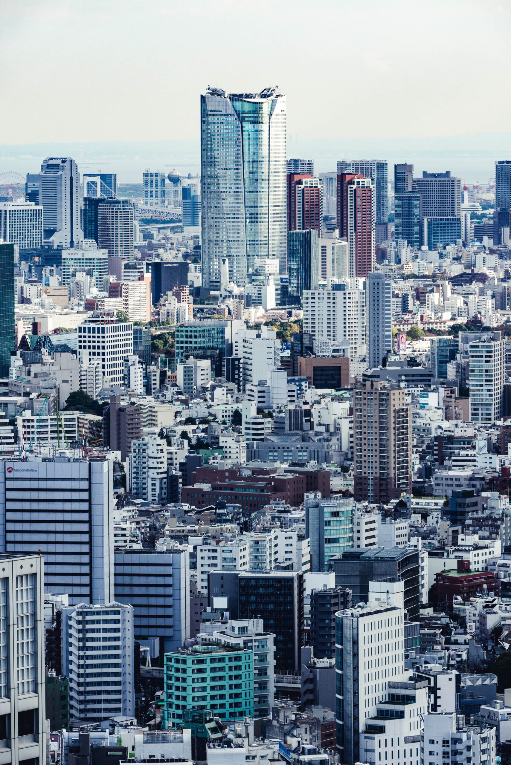 Smart Cities & Innovation in Japan