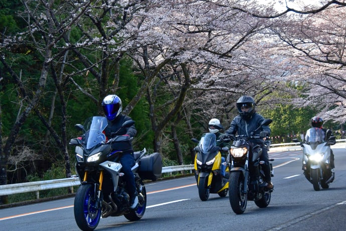 Yamaha Japanese electric motorbikes. Four of them drive along a street lined with blooming sakura trees.