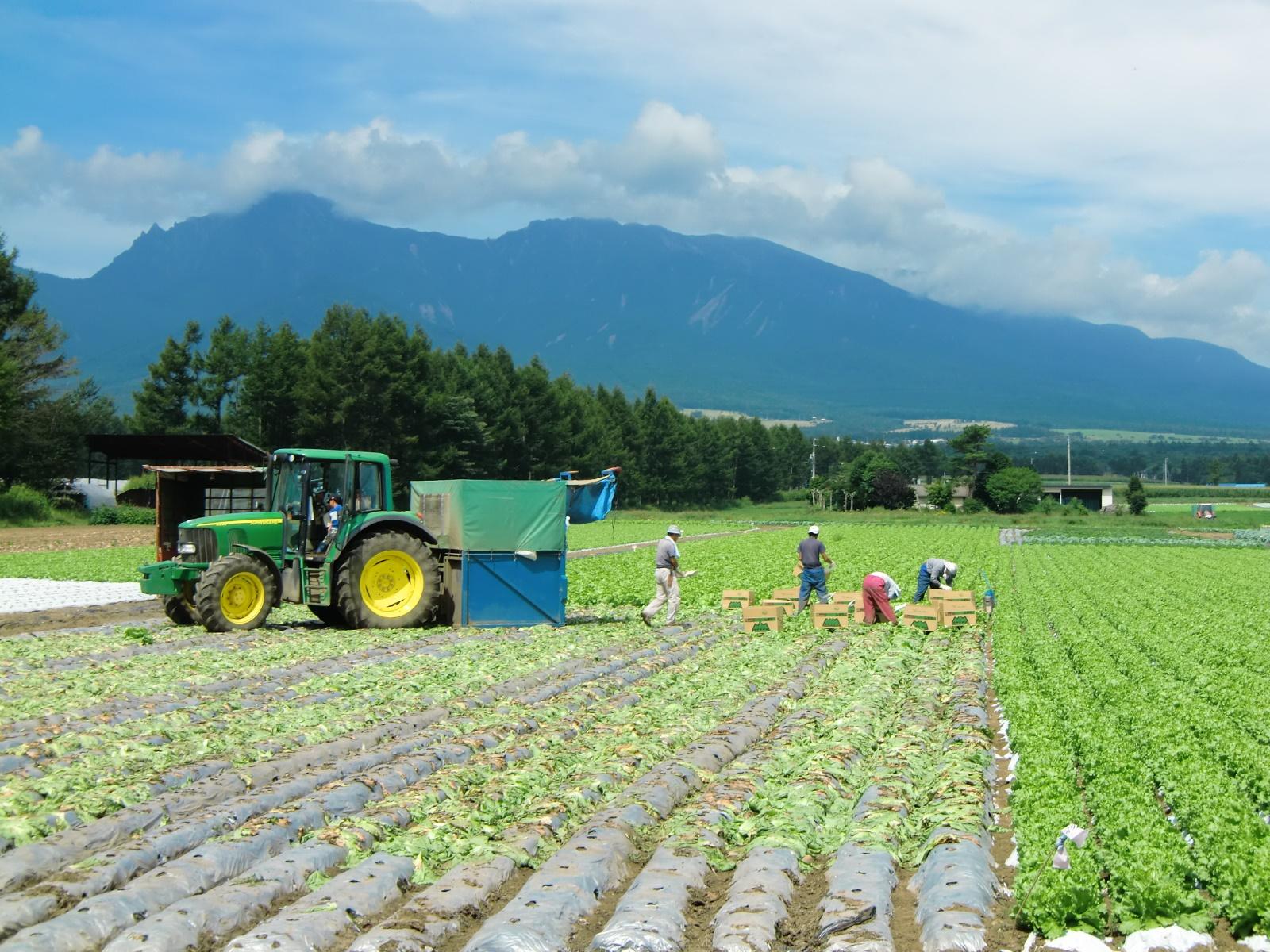 Agriculture workers next to a tractor on a Japanese farm.