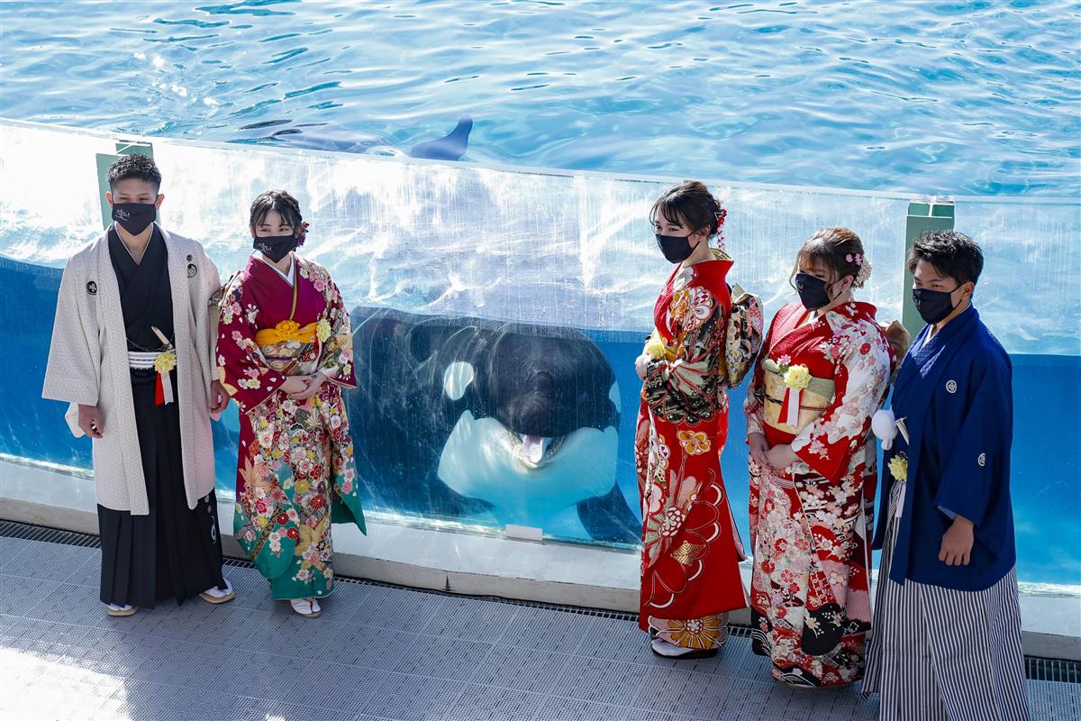 Young Japanese adults celebrating their seijinshiki at Kamogawa Sea World in Chiba Prefecture. They are posing next to an orca in a tank.